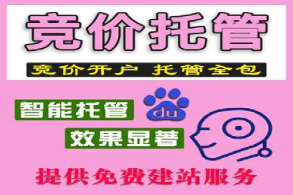 信息流广告竞价策略：成功案例分享